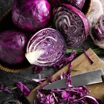 Red Cabbage Langedijker Bewaar 2