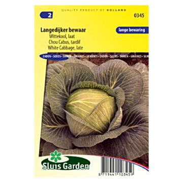 Cabbage Langedijker bewaar - Brassica oleracea capitata