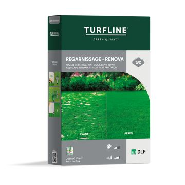 TURFLINE Renovation Grass seeds