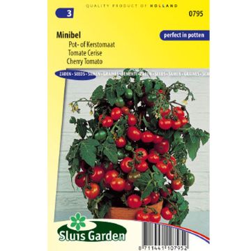 Minibel Tomato - Cherry Tomato