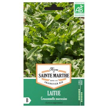 Laitue Cressonnette Marocaine Bio - Ferme de Sainte Marthe - Graines de salade à couper