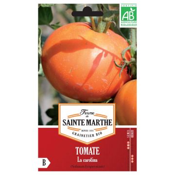 Tomate La Carotina AB - Ferme de Ste Marthe