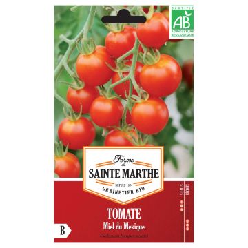 Tomate Miel Du Méxique AB - Ferme de Ste Marthe