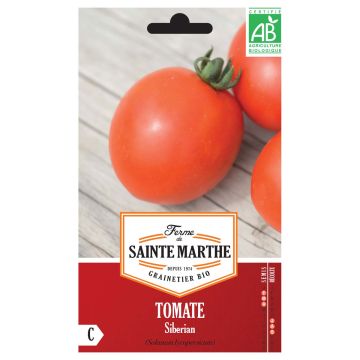 Tomate Siberian AB - Ferme de Ste Marthe