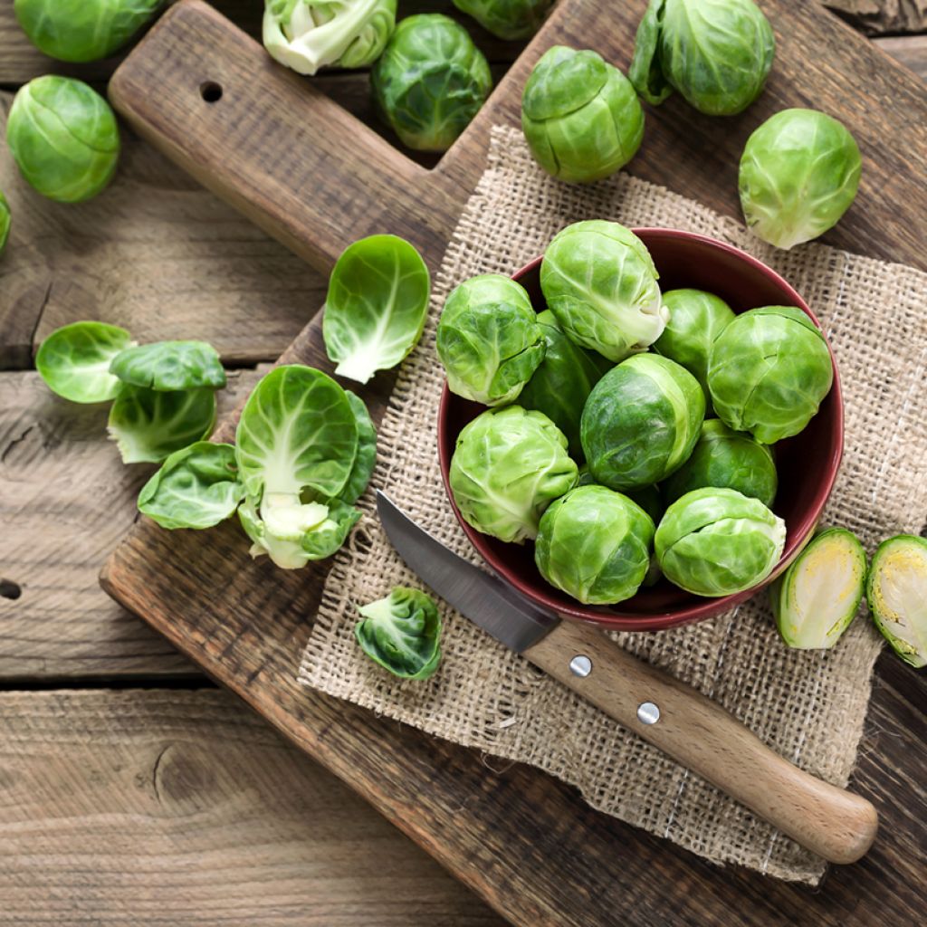 Brussels Sprout Bedford - Brassica oleracea gemmifera