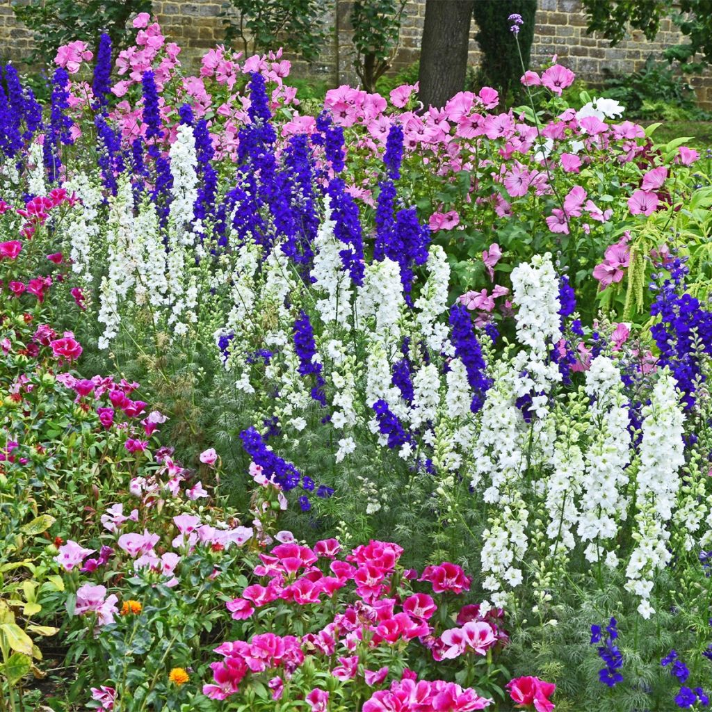 Florist's Garden seed collection