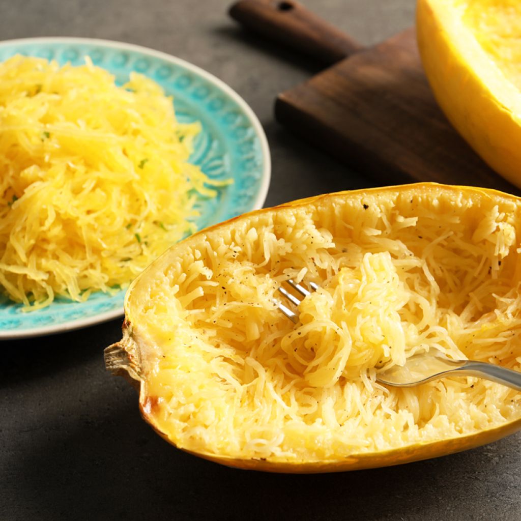 Spaghetti Squash - Cucurbita pepo