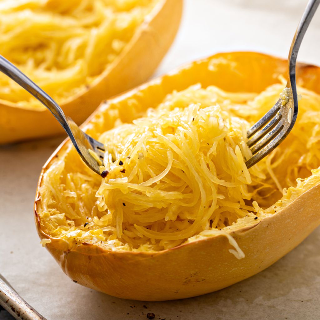 Squash Vegetable Spaghetti - Vilmorin Seeds