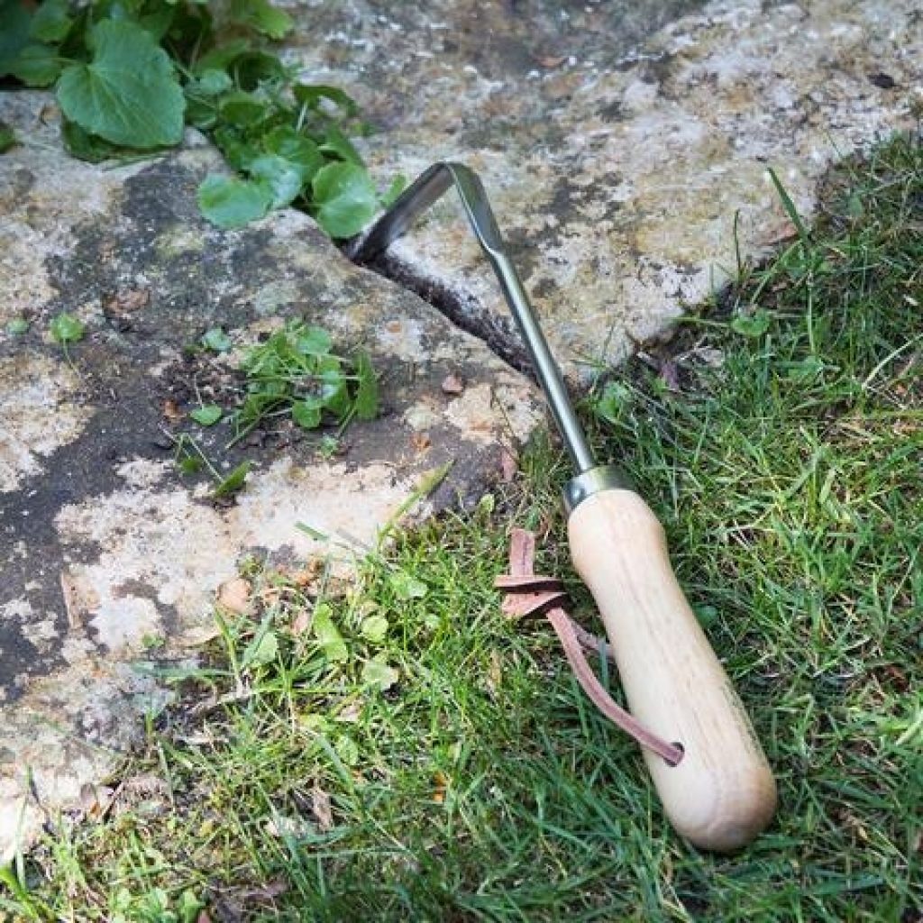 Narrow hand weeder Burgon & Ball - RHS Range.