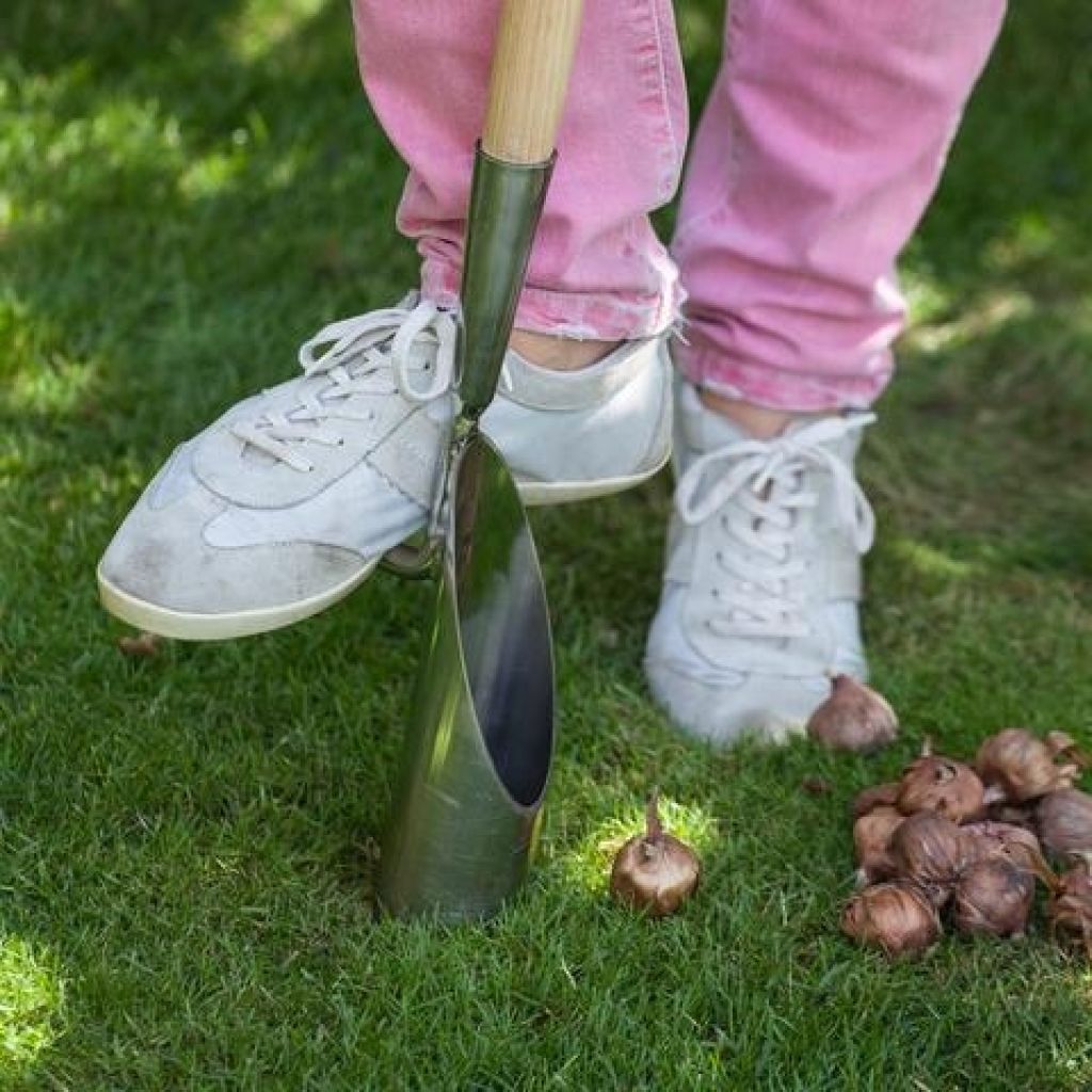 Long-handled bulb planter by Burgon & Ball - RHS Range