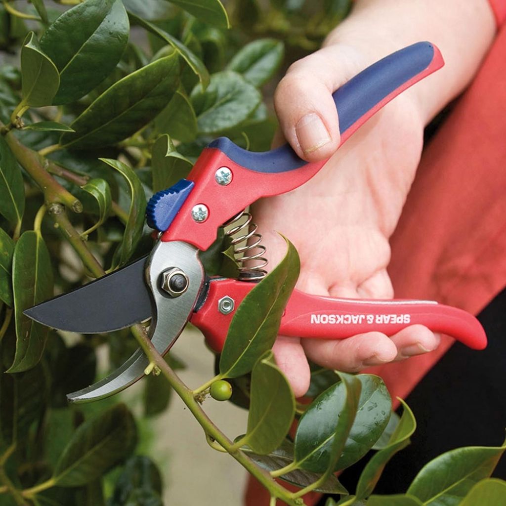 Ergonomic secateurs by Spear & Jackson