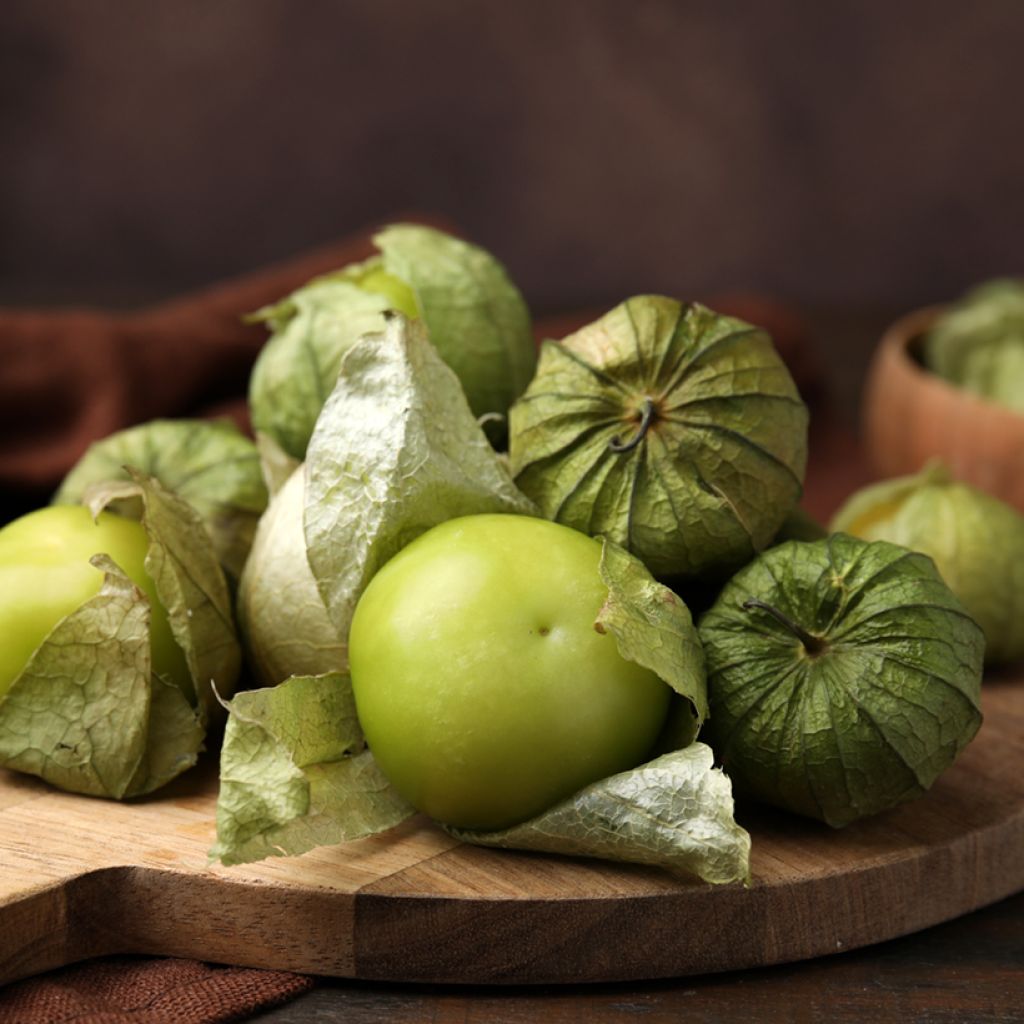 Mexican Tomatillo - Ferme de Sainte Marthe seeds