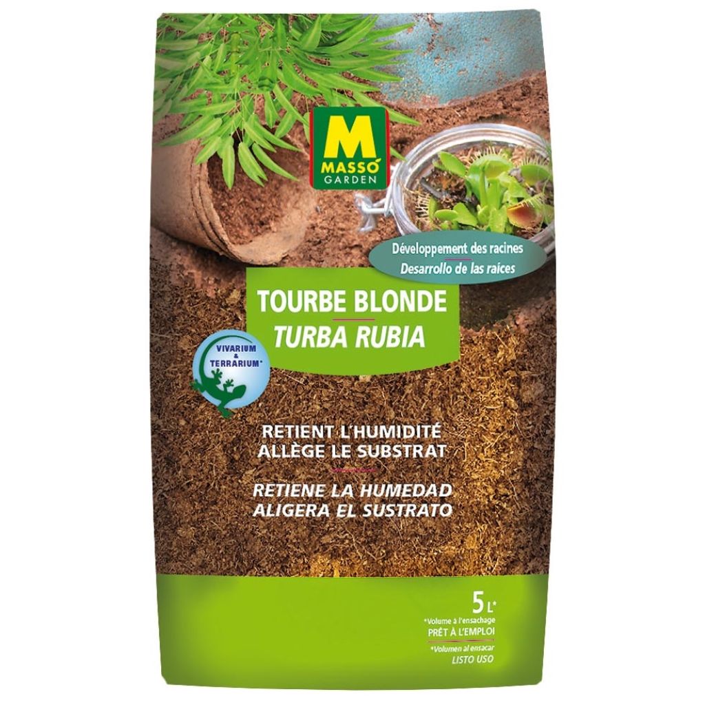 Turf Blonde Masso Garden in 5-litre bags