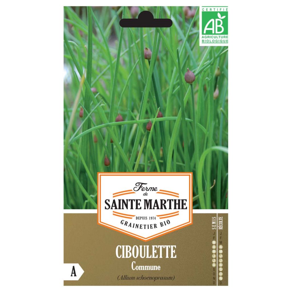 Ciboulette commune AB - Ferme de Ste Marthe