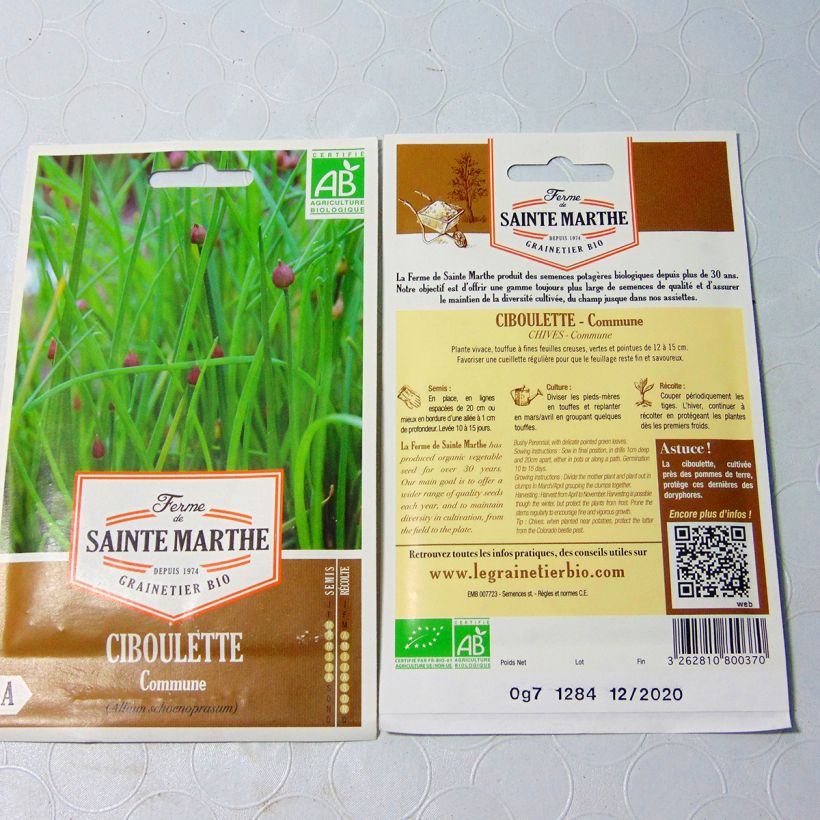 Example of Common Chives - Ferme de Sainte Marthe seeds specimen as delivered