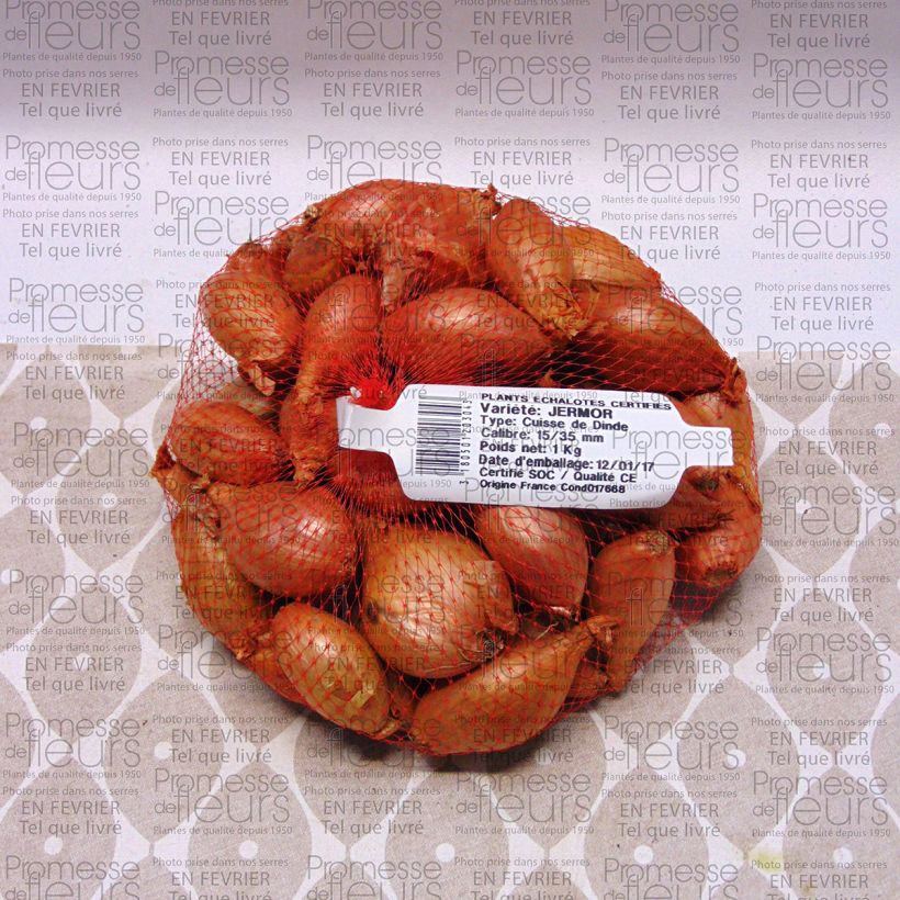 Example of Echalote Jermor - sac de 1Kg specimen as delivered