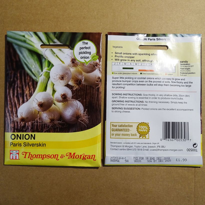 Example of Onion Paris Silverskin - Allium cepa seeds specimen as delivered