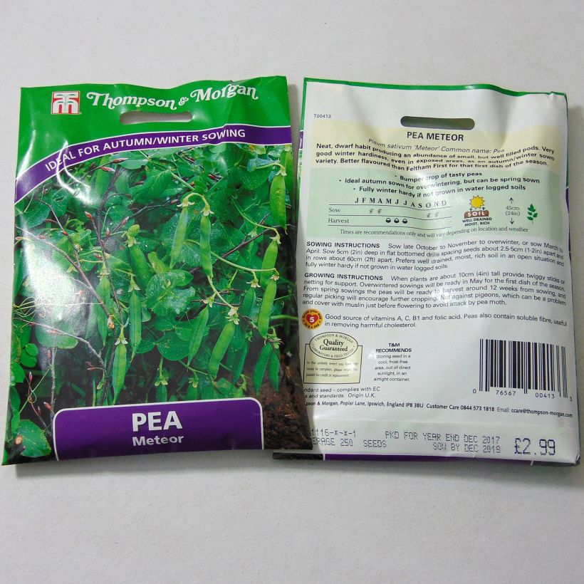 Example of Meteor Dwarf Pea per pack of 250 seeds specimen as delivered