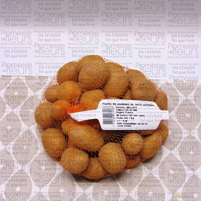 Example of Pommes de terre Melody - Sac de 1,5kg specimen as delivered