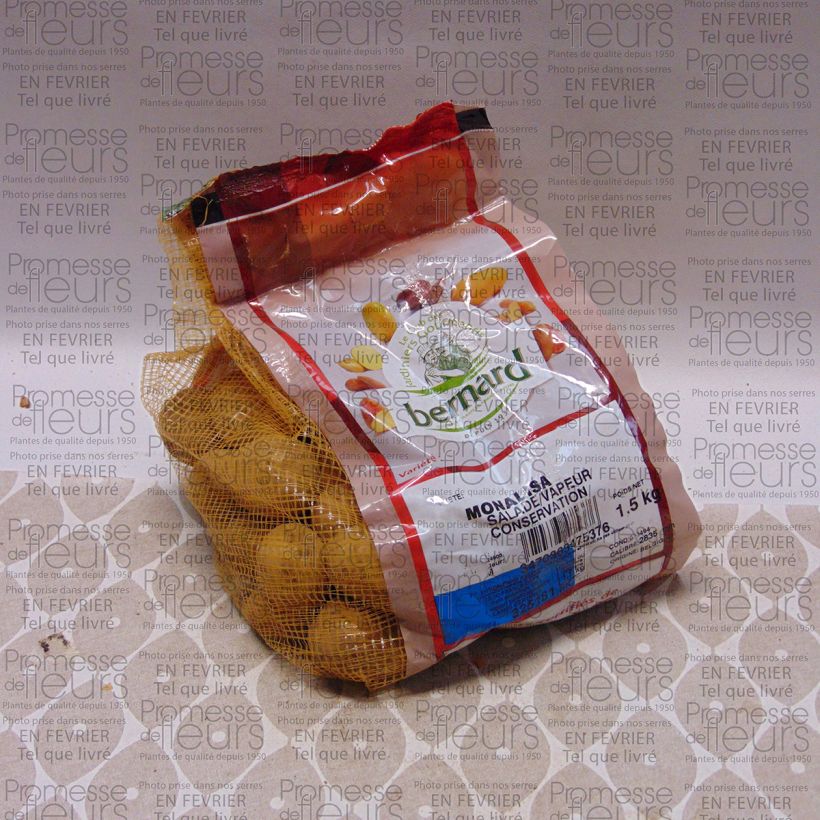 Example of Pommes de terre Mona Lisa - Sac de 1,5kg specimen as delivered