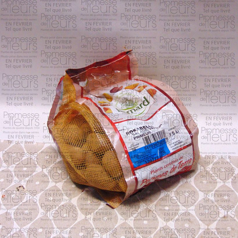 Example of Pommes de terre Rosabelle - Sac de 1,5kg specimen as delivered