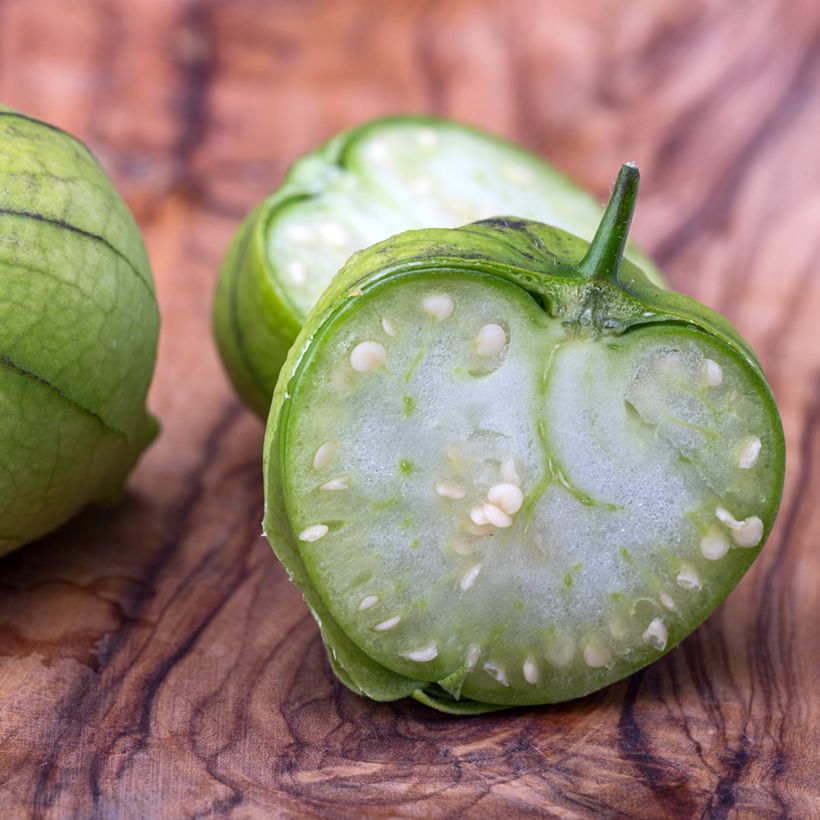 Mexican Tomatillo - Ferme de Sainte Marthe seeds (Harvest)