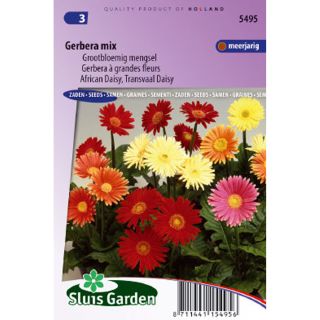 Gerbera jamesonii Large Flowered Mix Seeds - African Daisy