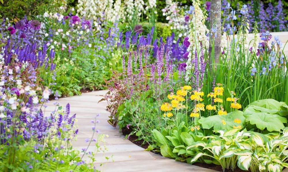 Looking for ideas for your garden? 