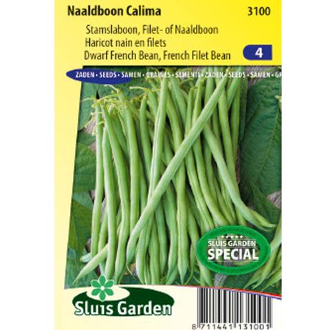 Phaseolus vulgaris Calima - Vegetable seeds - Dwarf green bean.