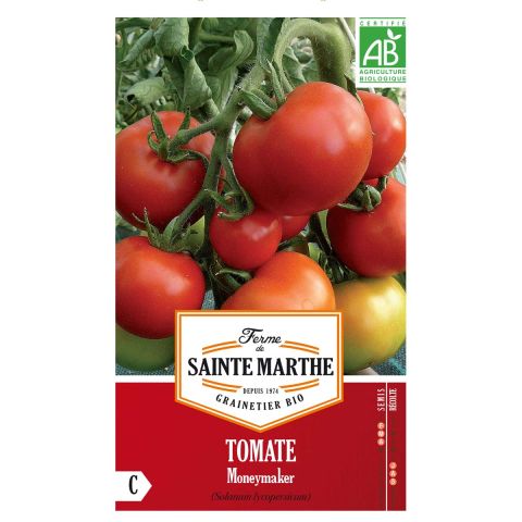 Moneymaker Tomato - Organic Seeds - Ferme de Sainte Marthe