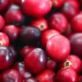 Cranberries - Vaccinium macrocarpon