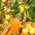 Cider Apple Trees